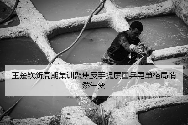 王楚钦新周期集训聚焦反手提质国乒男单格局悄然生变