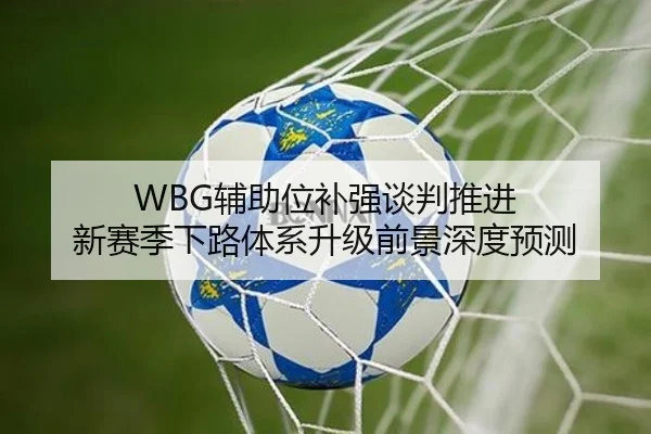 WBG辅助位补强谈判推进 新赛季下路体系升级前景深度预测